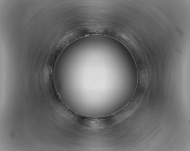 X0000115730229200911121518