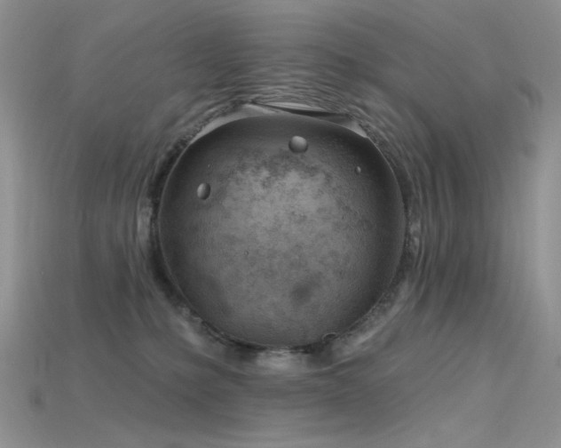 X0000115730231200911121518