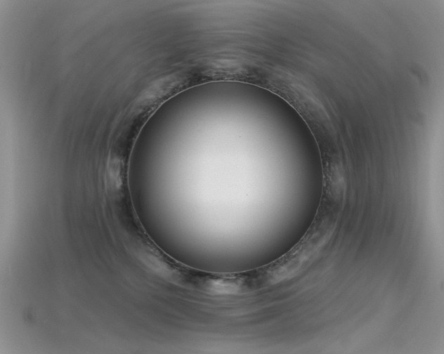 X0000115730232200911121518