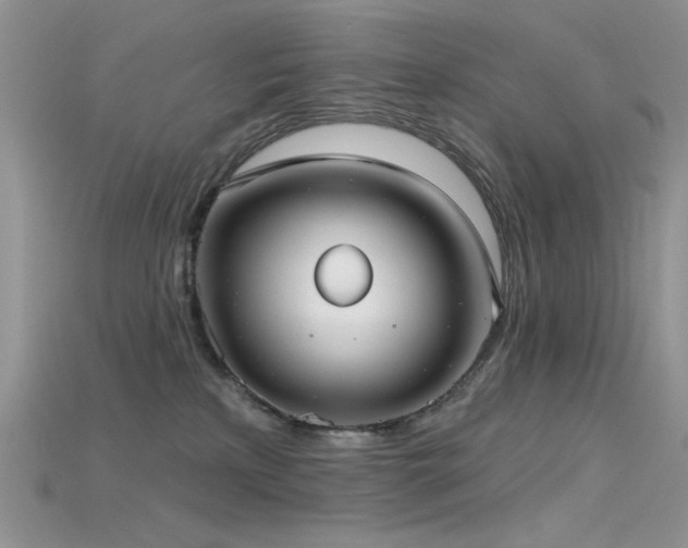 X0000115730233200911121518