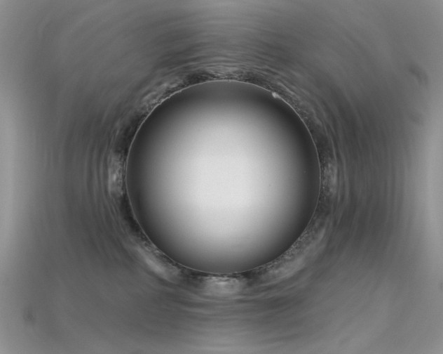 X0000115730234200911121518