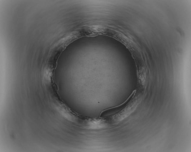 X0000115730235200911121518