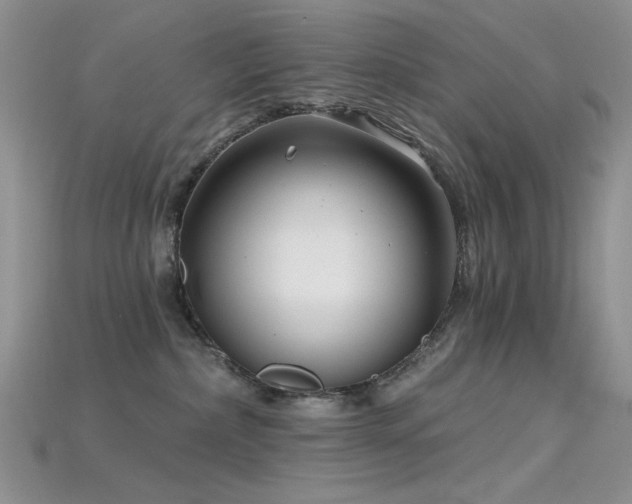 X0000115730236200911121518