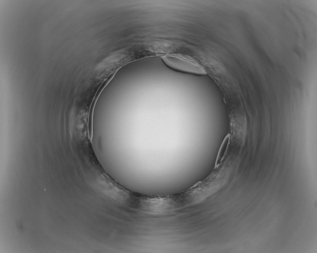 X0000115730237200911121518