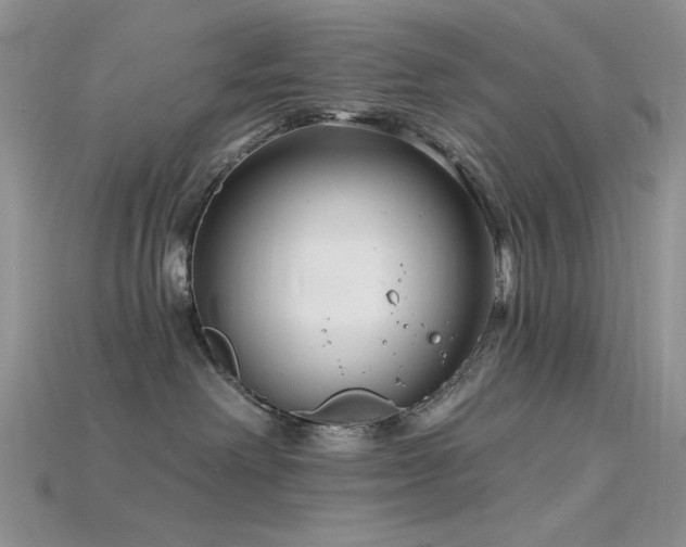 X0000115730238200911121518