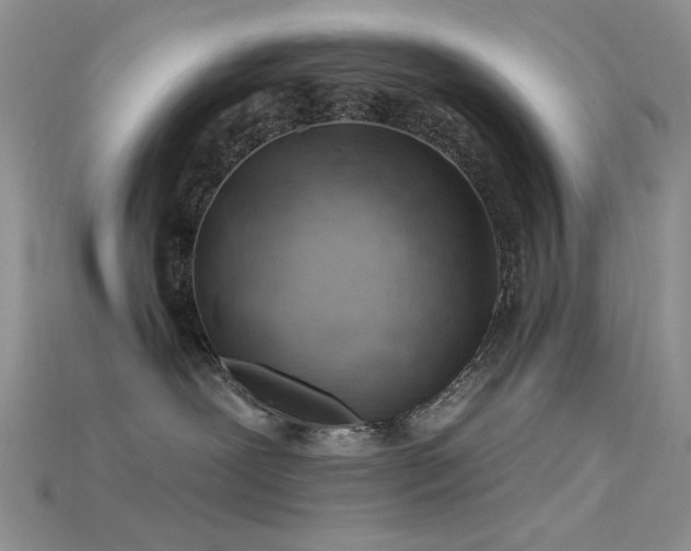 X0000115730239200911121518