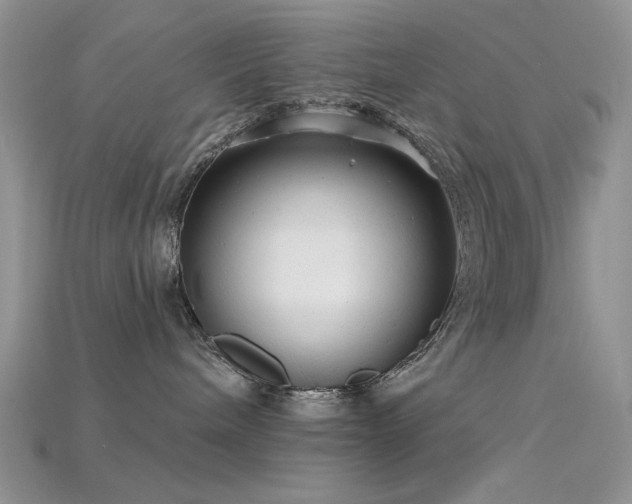 X0000115730240200911121518