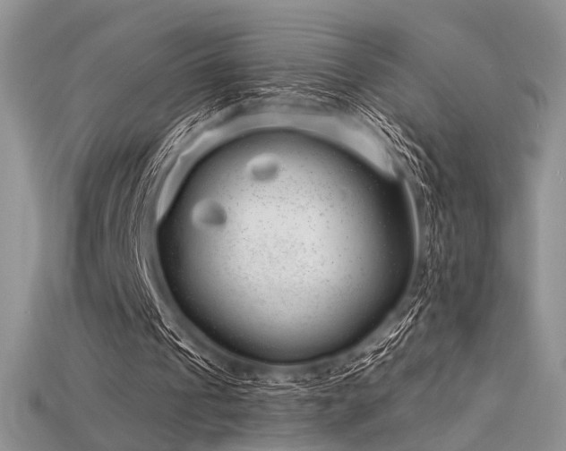 X0000115730241200911121518