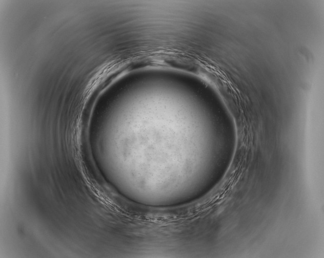 X0000115730242200911121518