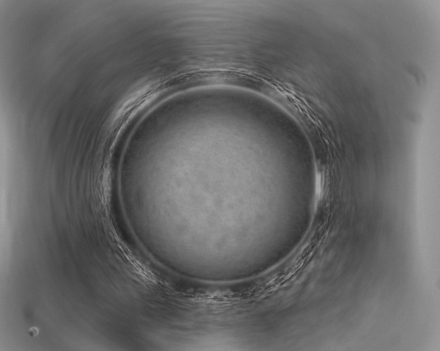 X0000115730243200911121518