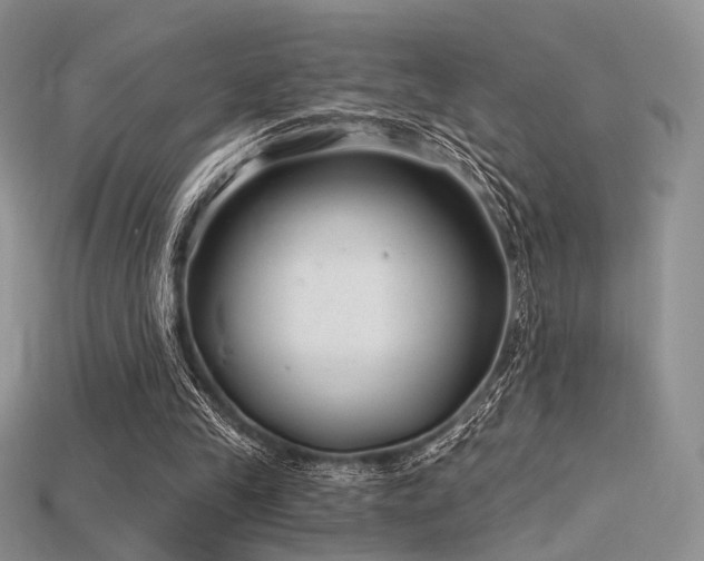 X0000115730245200911121518