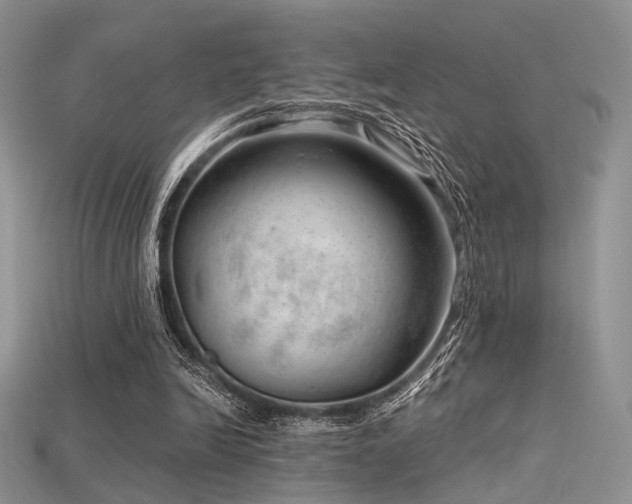 X0000115730246200911121518