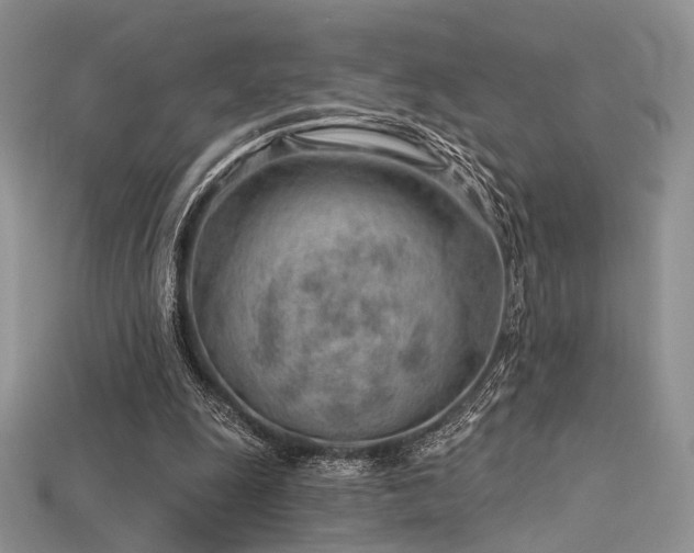 X0000115730247200911121518