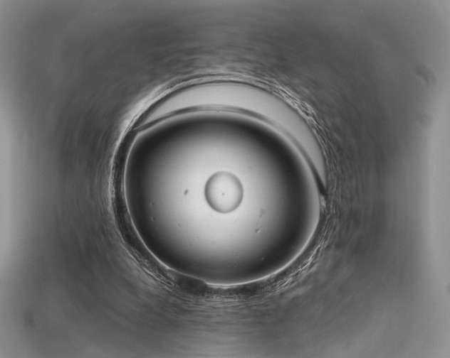 X0000115730248200911121518