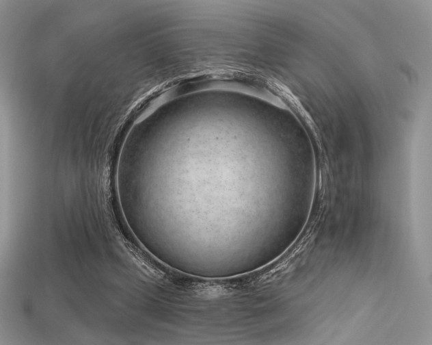 X0000115730249200911121518