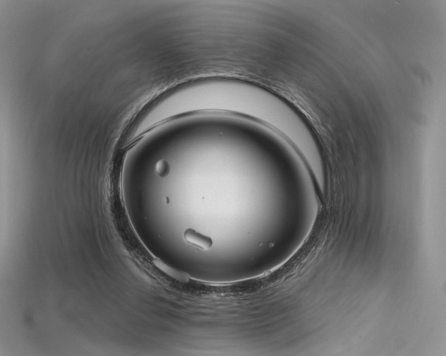 X0000115730252200911121518