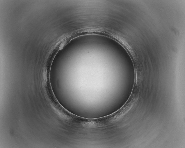 X0000115730253200911121518