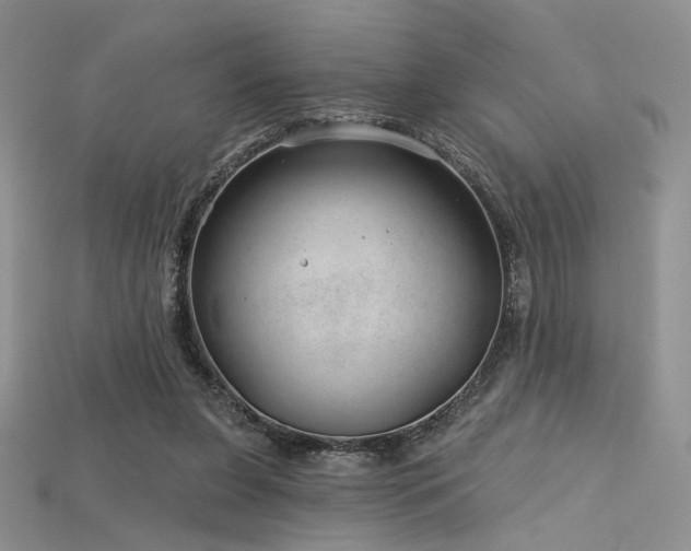 X0000115730255200911121518