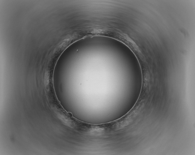 X0000115730257200911121518