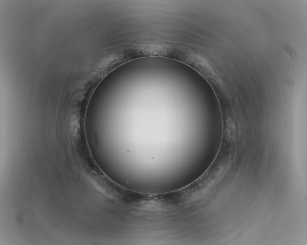 X0000115730259200911121518