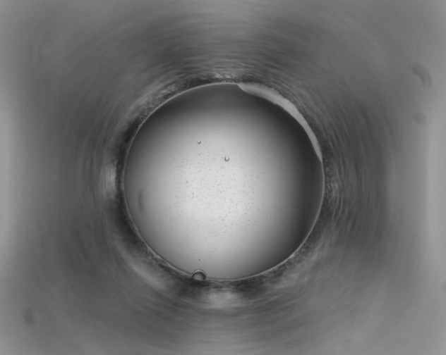 X0000115730262200911121518