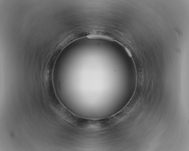 X0000115730263200911121518