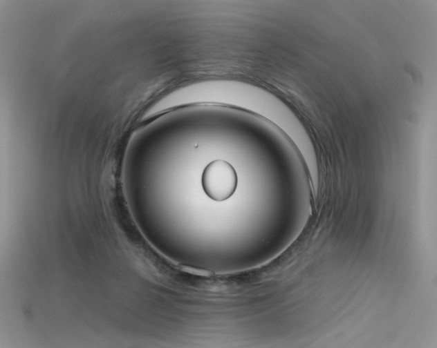 X0000115730264200911121518