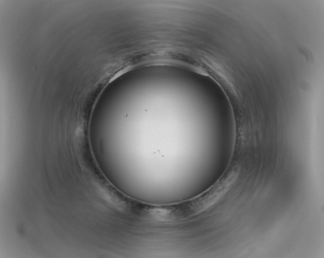 X0000115730265200911121518