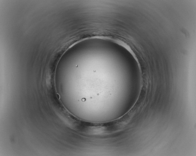 X0000115730266200911121518