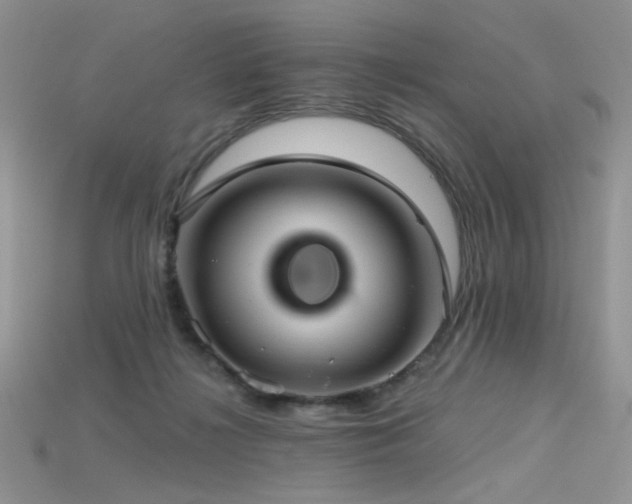 X0000115730268200911121518