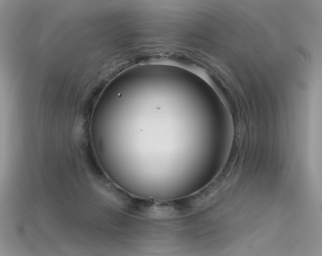 X0000115730270200911121518