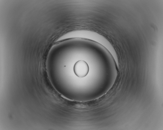 X0000115730272200911121518