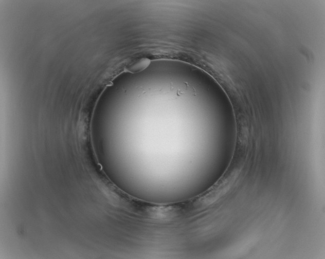 X0000115730273200911121518