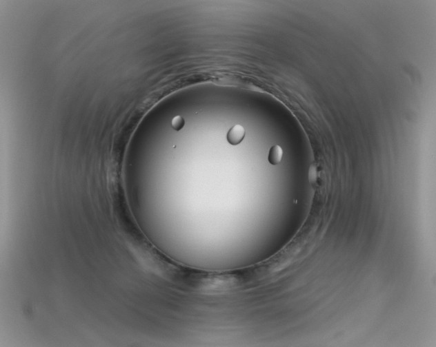 X0000115730274200911121518