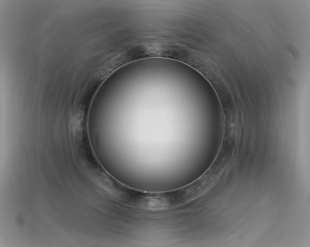 X0000115730275200911121518