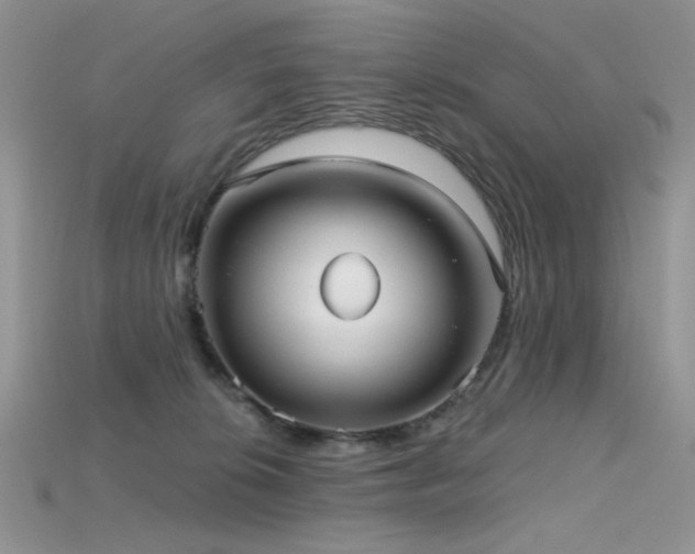 X0000115730276200911121518