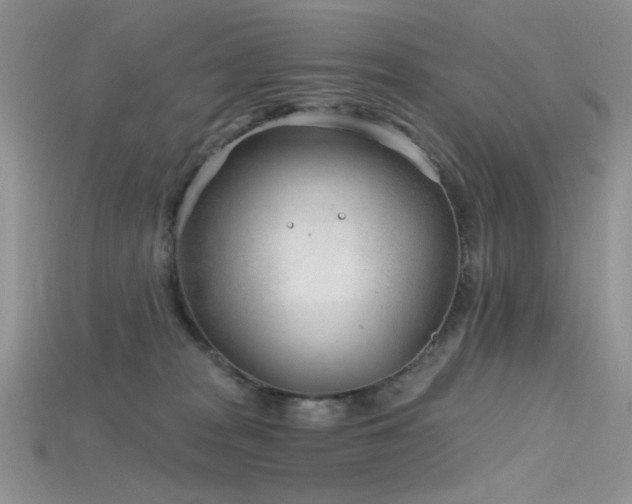 X0000115730277200911121518