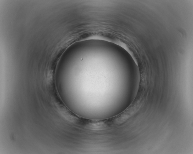 X0000115730278200911121518