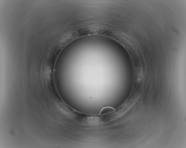 X0000115730279200911121518