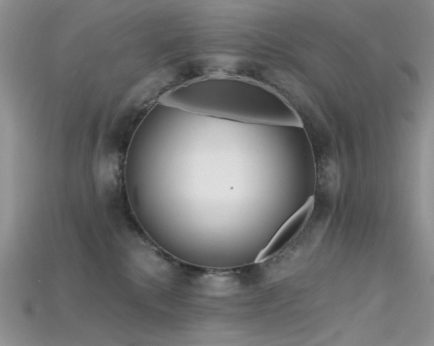 X0000115730280200911121518