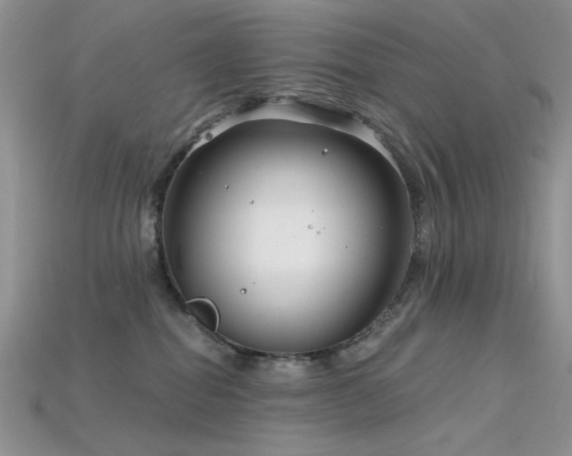 X0000115730282200911121518