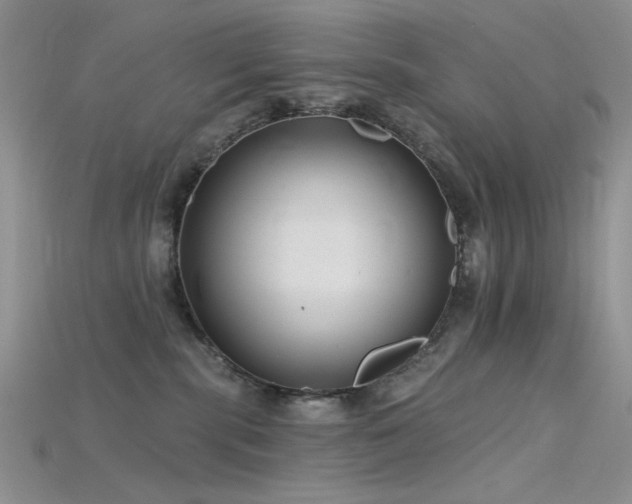 X0000115730283200911121518