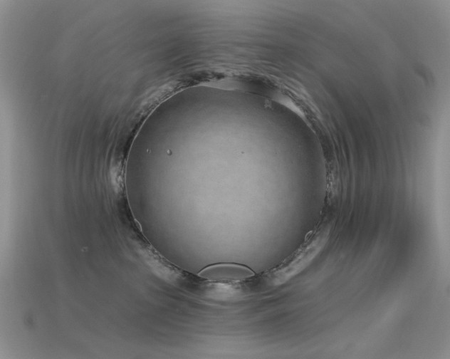 X0000115730285200911121518