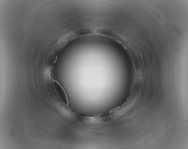 X0000115730286200911121518