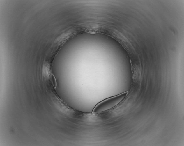 X0000115730287200911121518