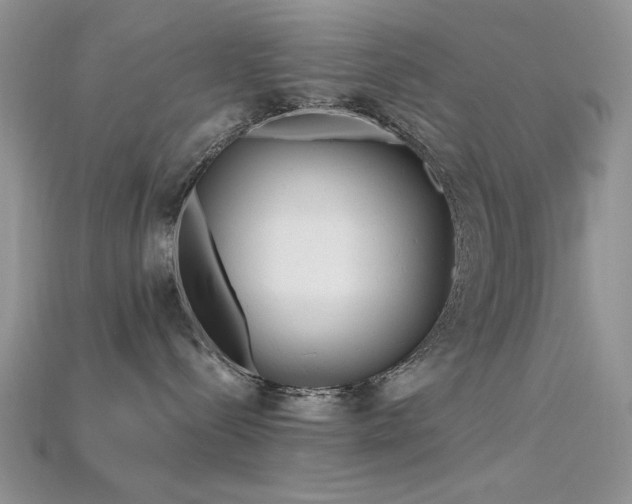 X0000115730288200911121518