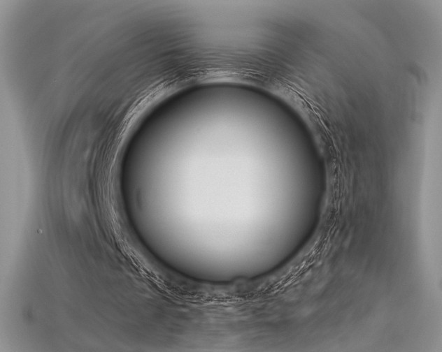 X0000115730289200911121518