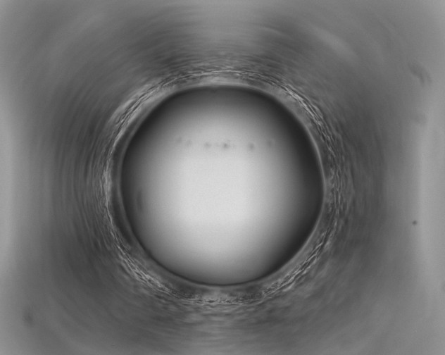 X0000115730290200911121518