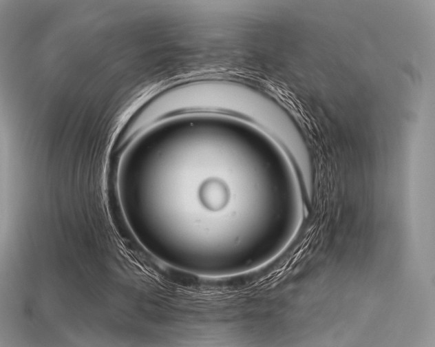 X0000115730292200911121518