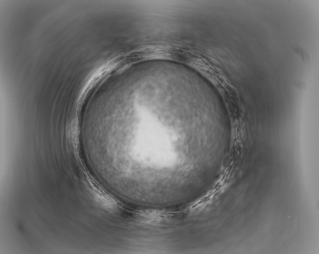 X0000115730293200911121518